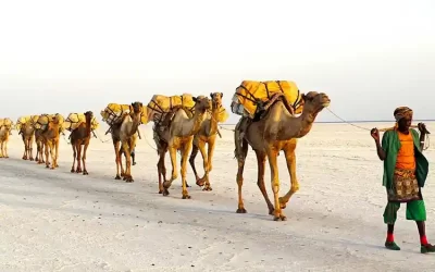 3-Day Expedition to Dallol Salt Flats, Danakil Depression & Erta Ale Volcano