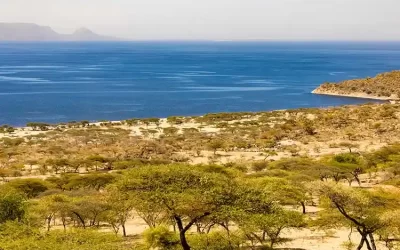 3-Day Rift Valley Tour: Lake Ziway, Abiyata-Shalla & Hawassa