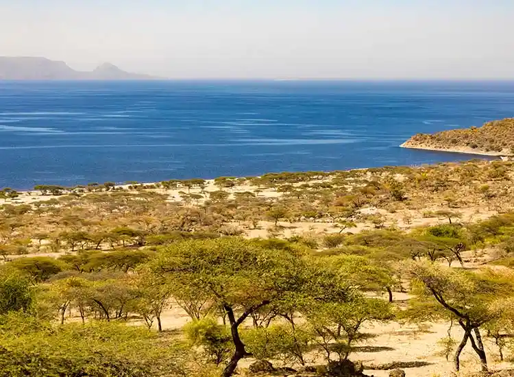 3-Day Rift Valley Tour Lake Ziway Abiyata-Shalla & Hawassa