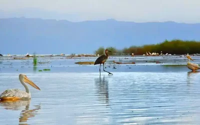 8-Day Combined Tour of Arba Minch, Omo Tribes & Lalibela Churches