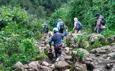 Day Trip from Addis Ababa to Menagesha Suba Forest