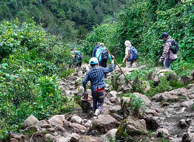 Day Trip from Addis Ababa to Menagesha Suba Forest