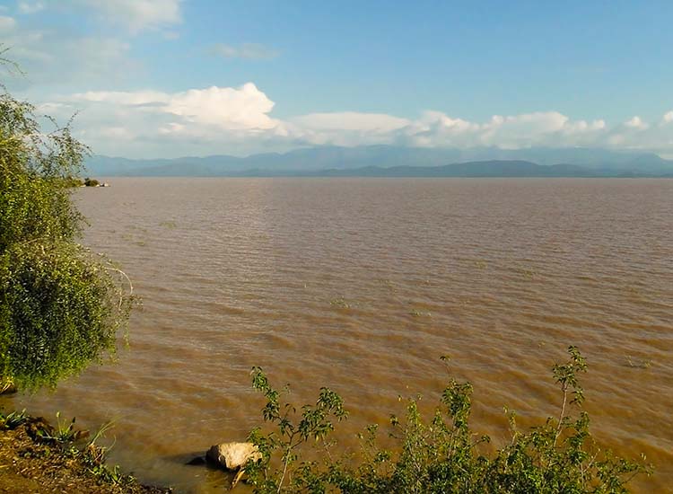 Lake Abaya Tours and Holiday Packages