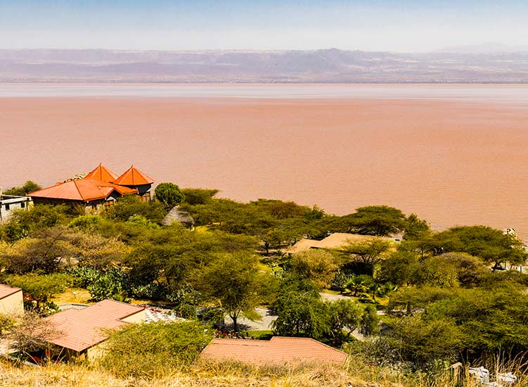 Lake Langano Ethiopia Tours and Holiday Packages