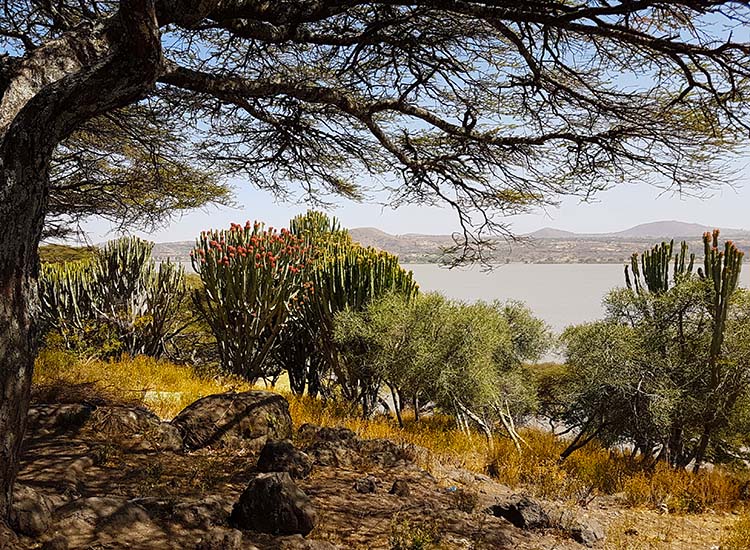 Lake Ziway Ethiopia Tours and Holiday Packages